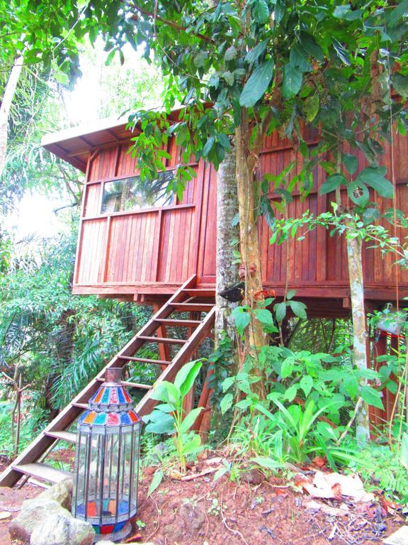 Hars Garden Tree Houses Ubud (Bali) Bagian luar foto