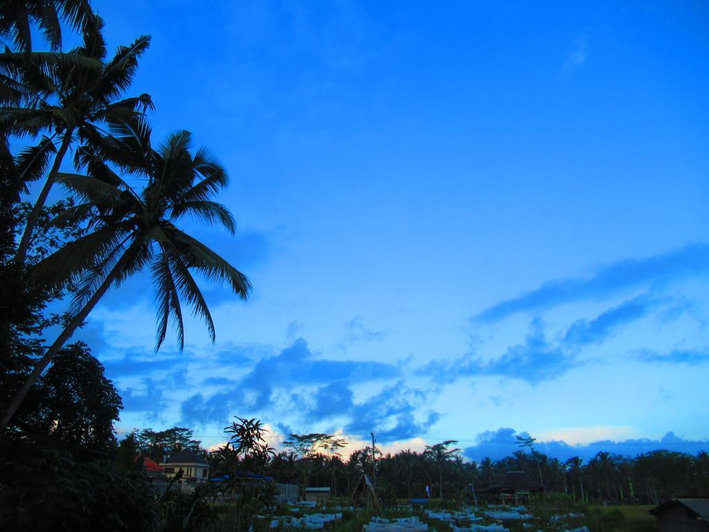 Hars Garden Tree Houses Ubud (Bali) Bagian luar foto