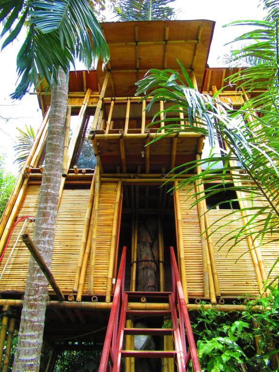 Hars Garden Tree Houses Ubud (Bali) Bagian luar foto